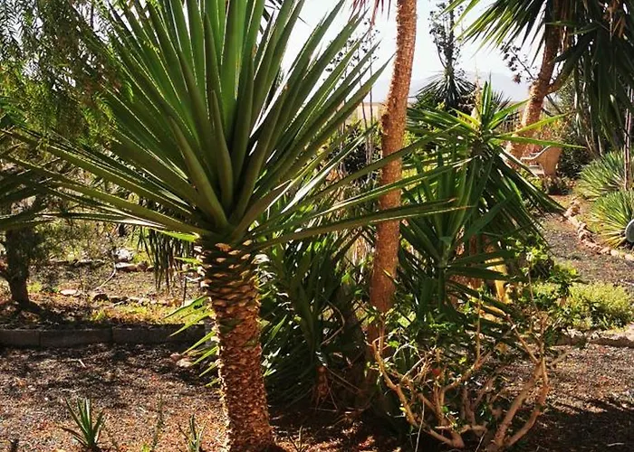 Gozo House * Teguitar