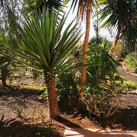 Gozo House * Тегитар