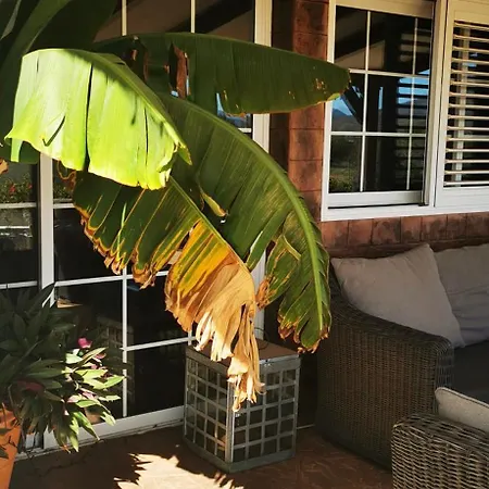 Вилла Gozo House